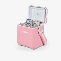 Igloo Tag Along Too 10 l passiivinen kylmälaukku, pinkki