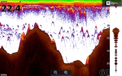 Lowrance SonarHub kaikuluotain moduli