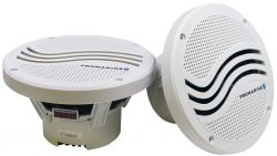 VALKOINEN BLUETOOTH KAIUTIN 6,5'