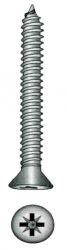 Peltiruuvi uppok. 5.5x25mm SS
