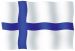 Suomen lippu 25 x 40 cm