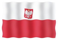 Vierailulippu Puola 20 x 30 cm