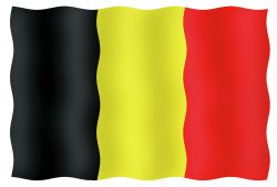 Vierailulippu Belgia 20 x 30 cm