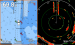 Raymarine Element 12 HV HyperVision kaikuluotaimella