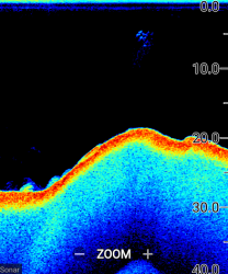 Raymarine Element 12S kaikuluotaimella