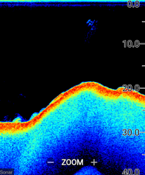Raymarine Element 12 HV HyperVision kaikuluotaimella