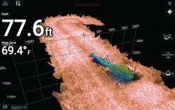 Raymarine AXIOM 12 PRO-RVX 12" RealVision HydridTouch monitoiminäyttö