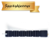 SUNBEAMsystem TOUGH 21 W Flush Long